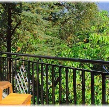 Hotel Misty Woods Dharamshala Luaran gambar